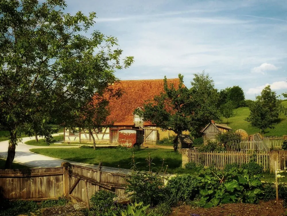 Tips for a healthy garden